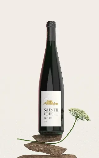 Domaine Sainte-Joie Pinot Noir 2024  Vin de France (SEC)